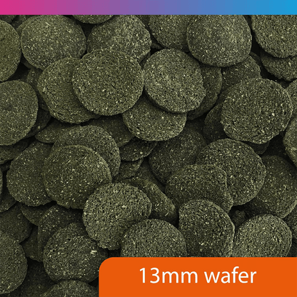 Pro-F Algae Wafers