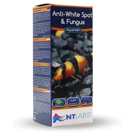 Aquarium Anti White Spot & Fungus