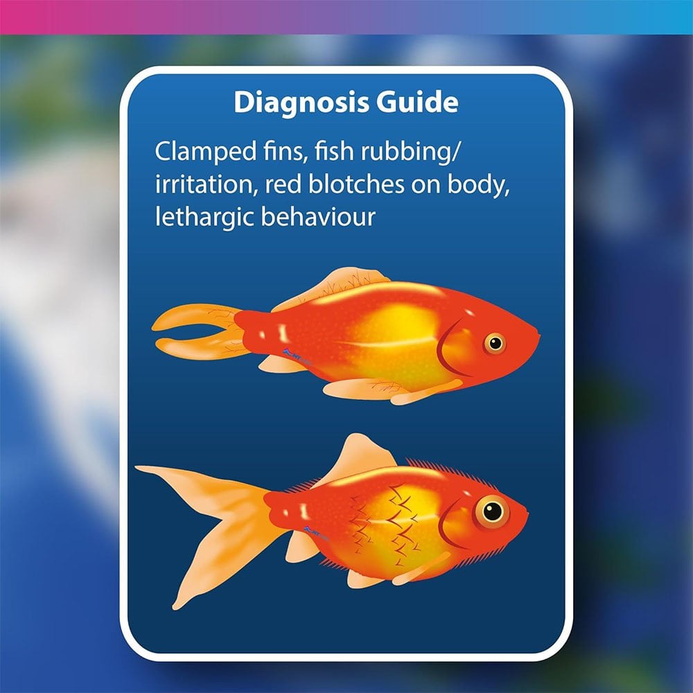 Aquarium Disease Solve 100ml