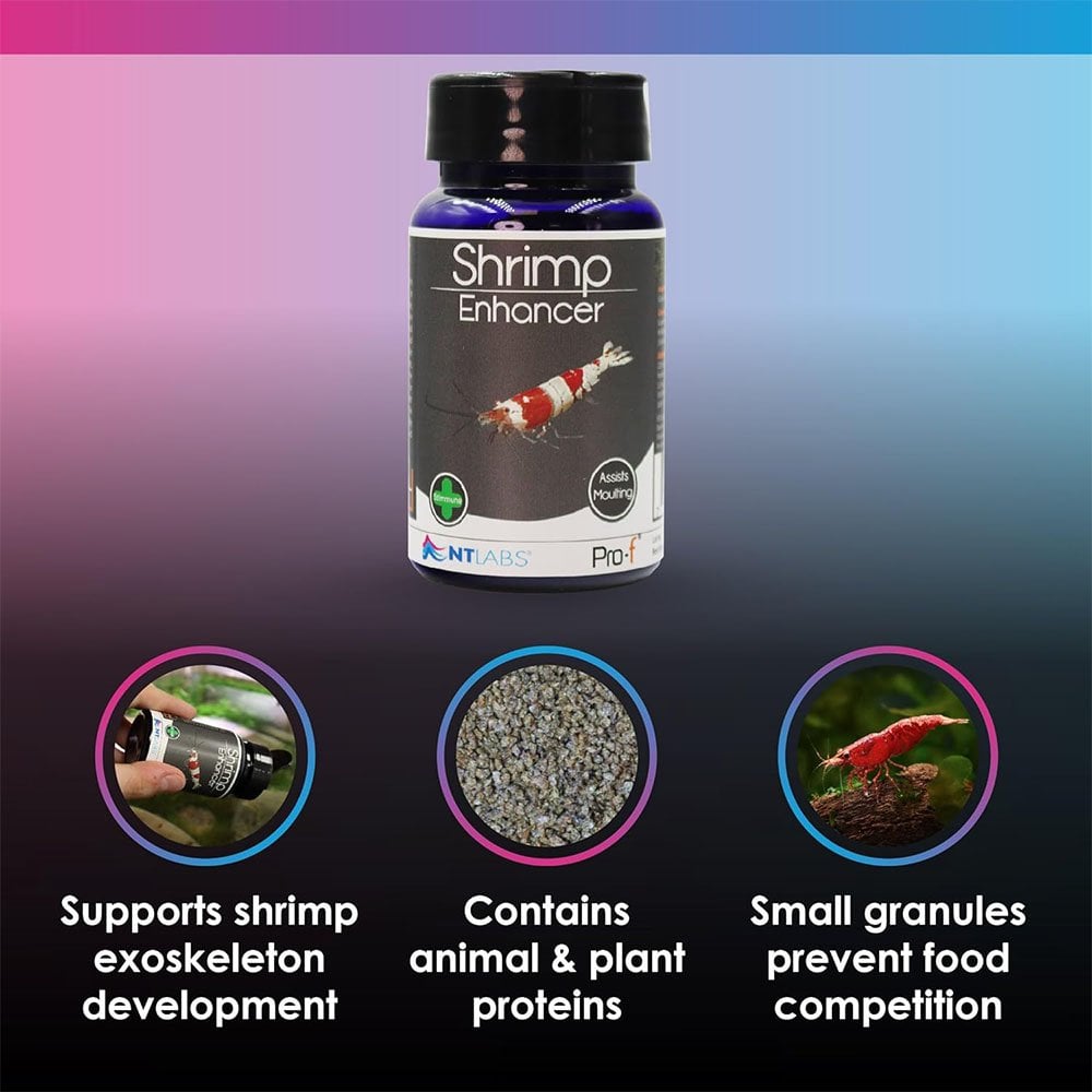 Pro-F Shrimp Enhancer