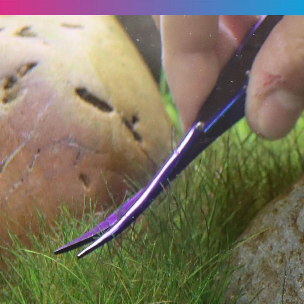 ProCare Aquascaping Tools - Nano Scissors 16cm