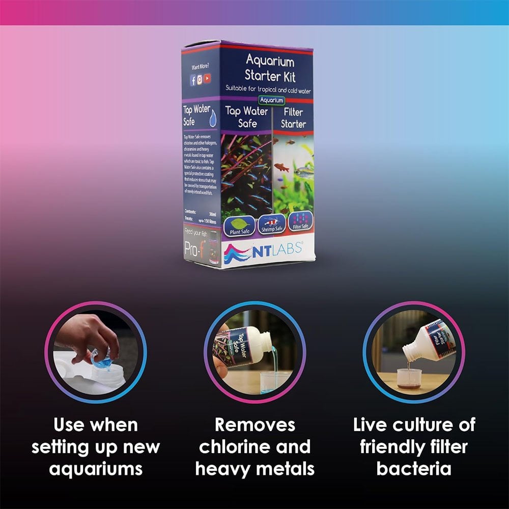 Aquarium Starter Kit