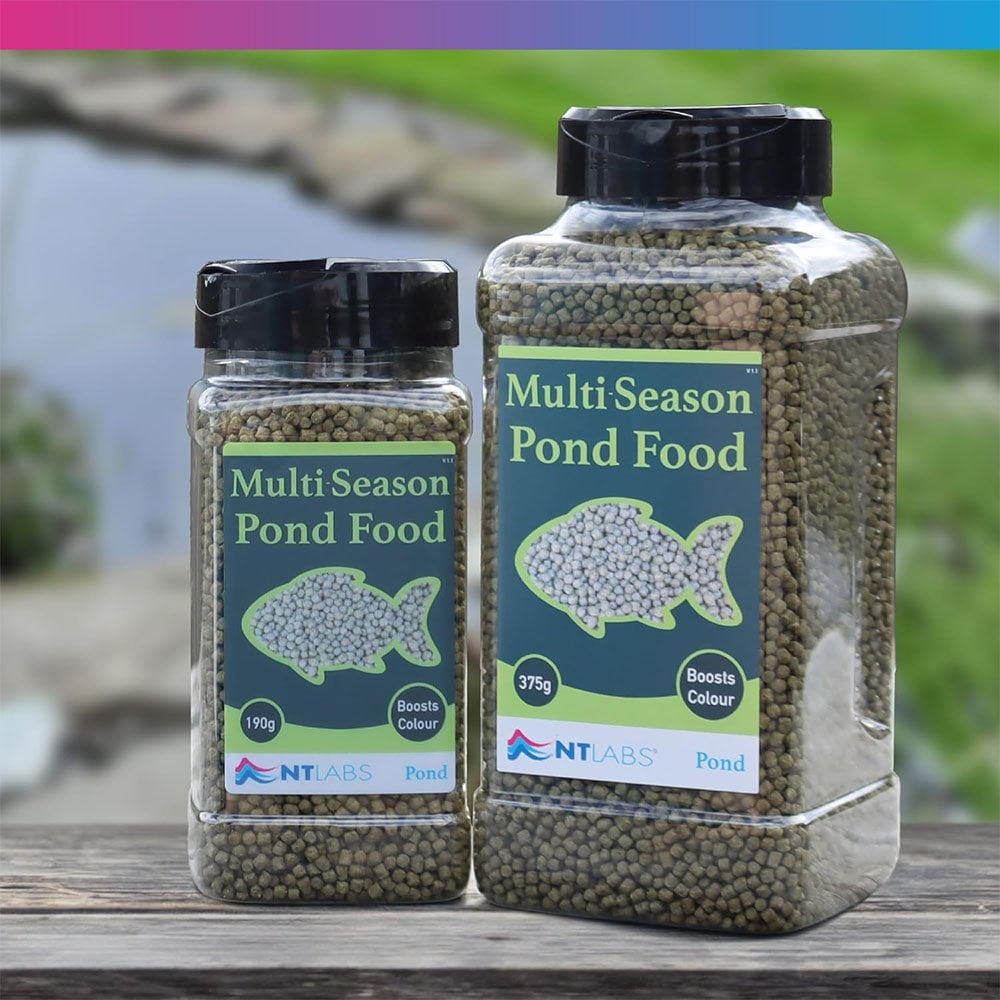 Multi Season Pond Food