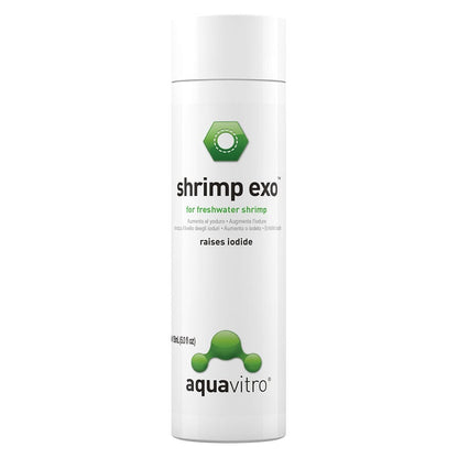 Shrimp Exo