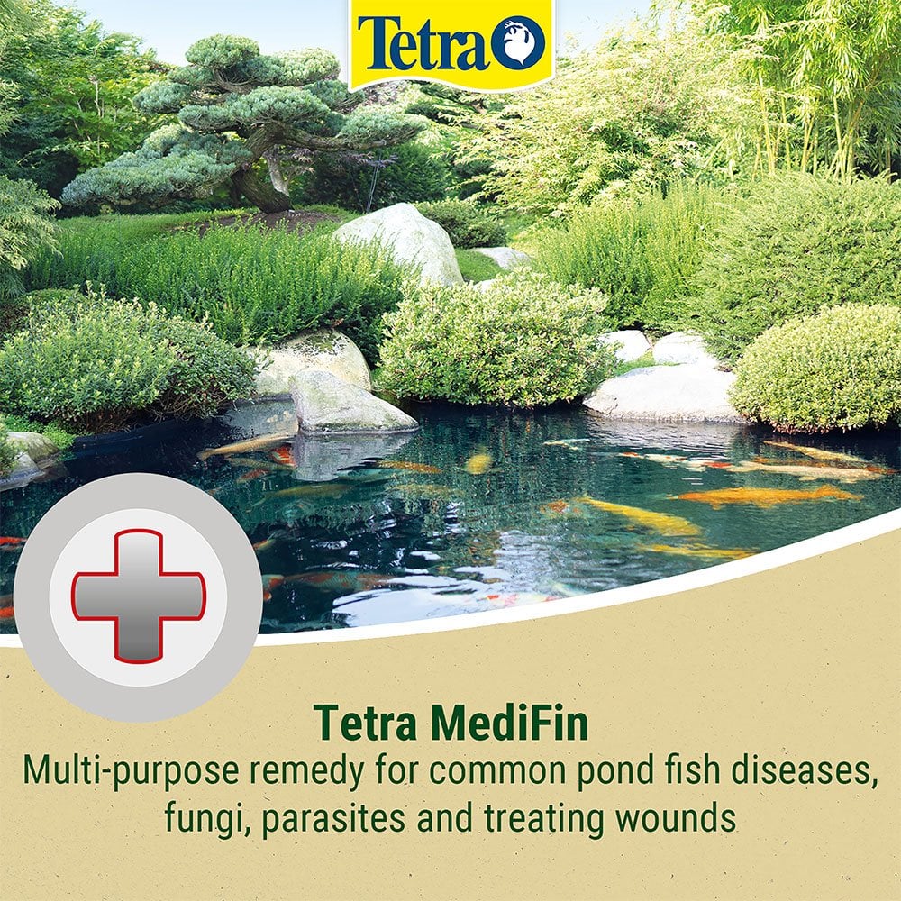 MediFin