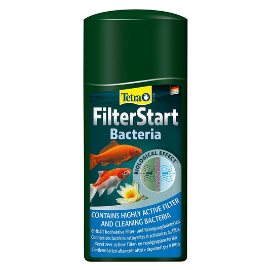 FilterStart Bacteria