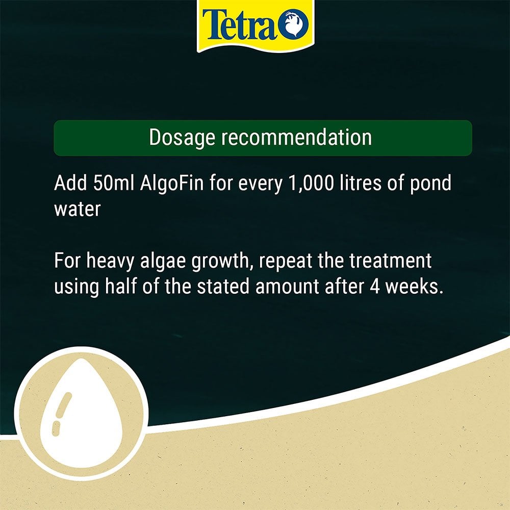 AlgoFin