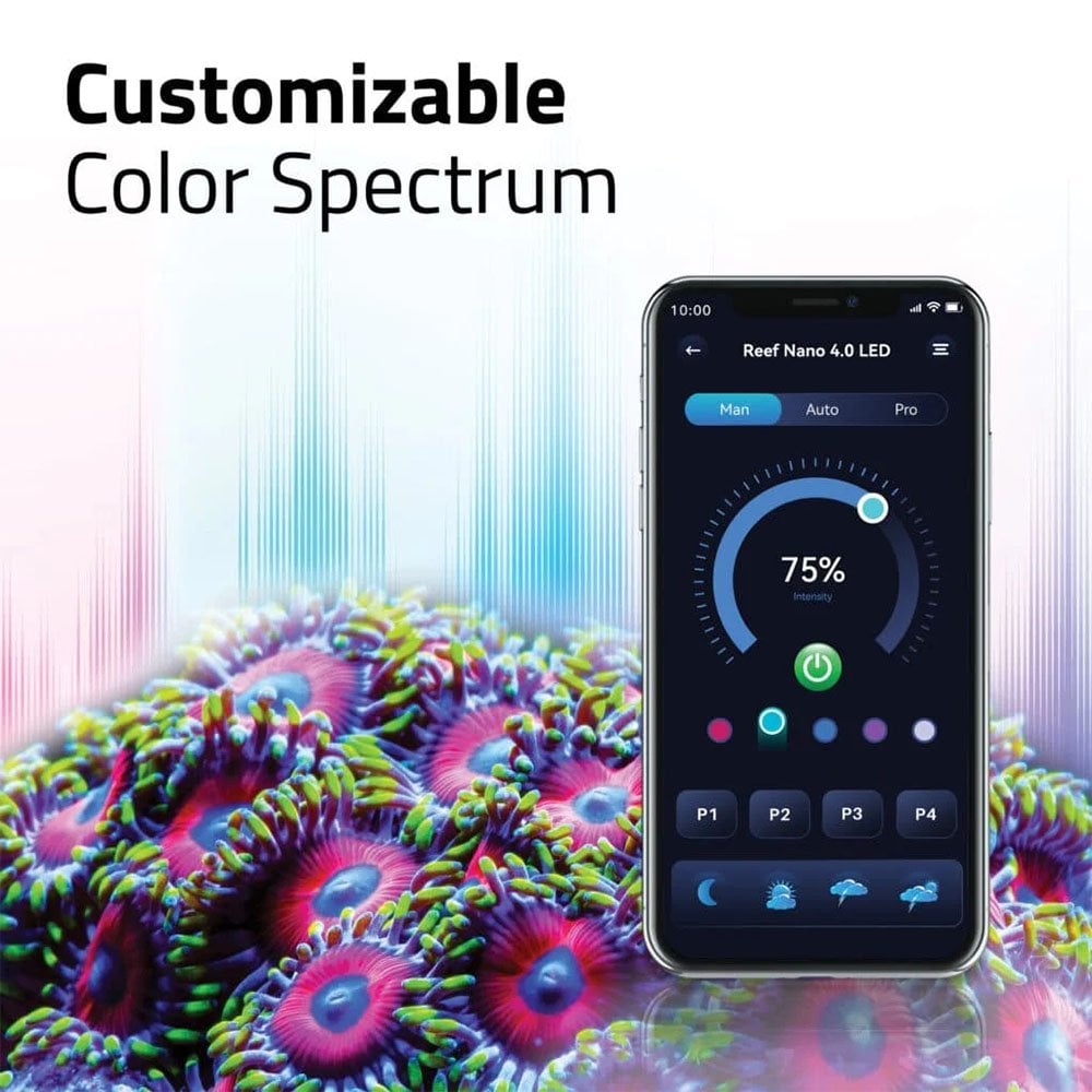 Fluval Sea Reef 40 Nano Led 25W - Pond Planet