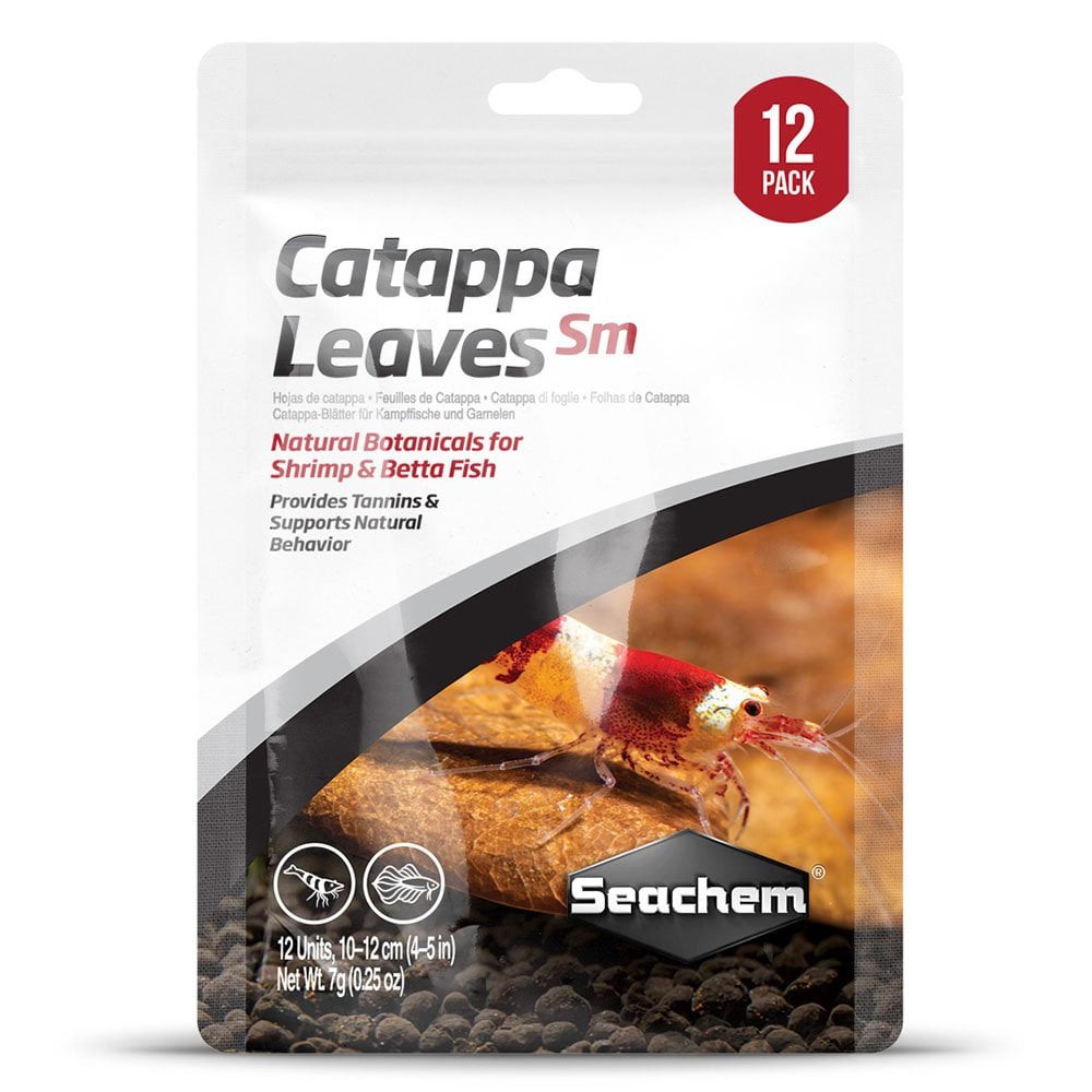 Catappa Leaves