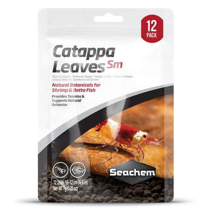 Catappa Leaves