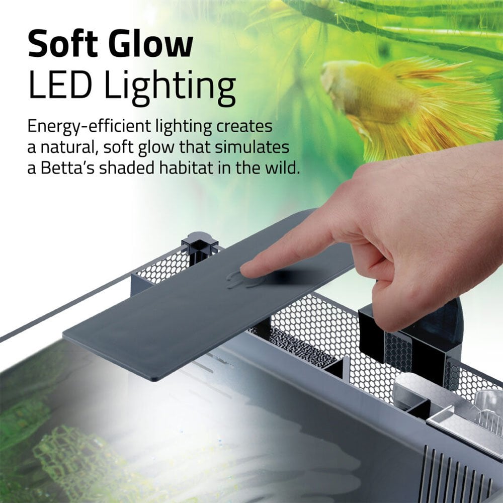 Betta Premium Aquarium Kit 22.7L