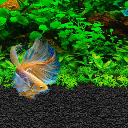 Betta Stratum 800g