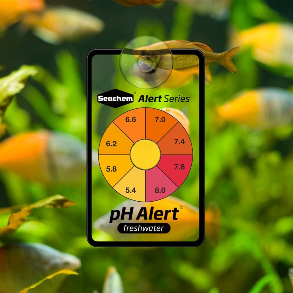 Alert Combo