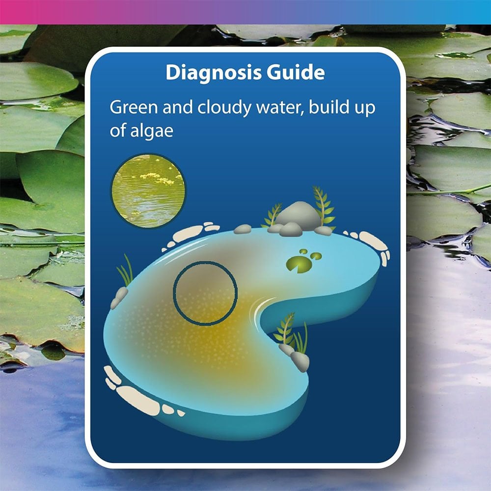 Magiclear - Clears Green & Cloudy Water