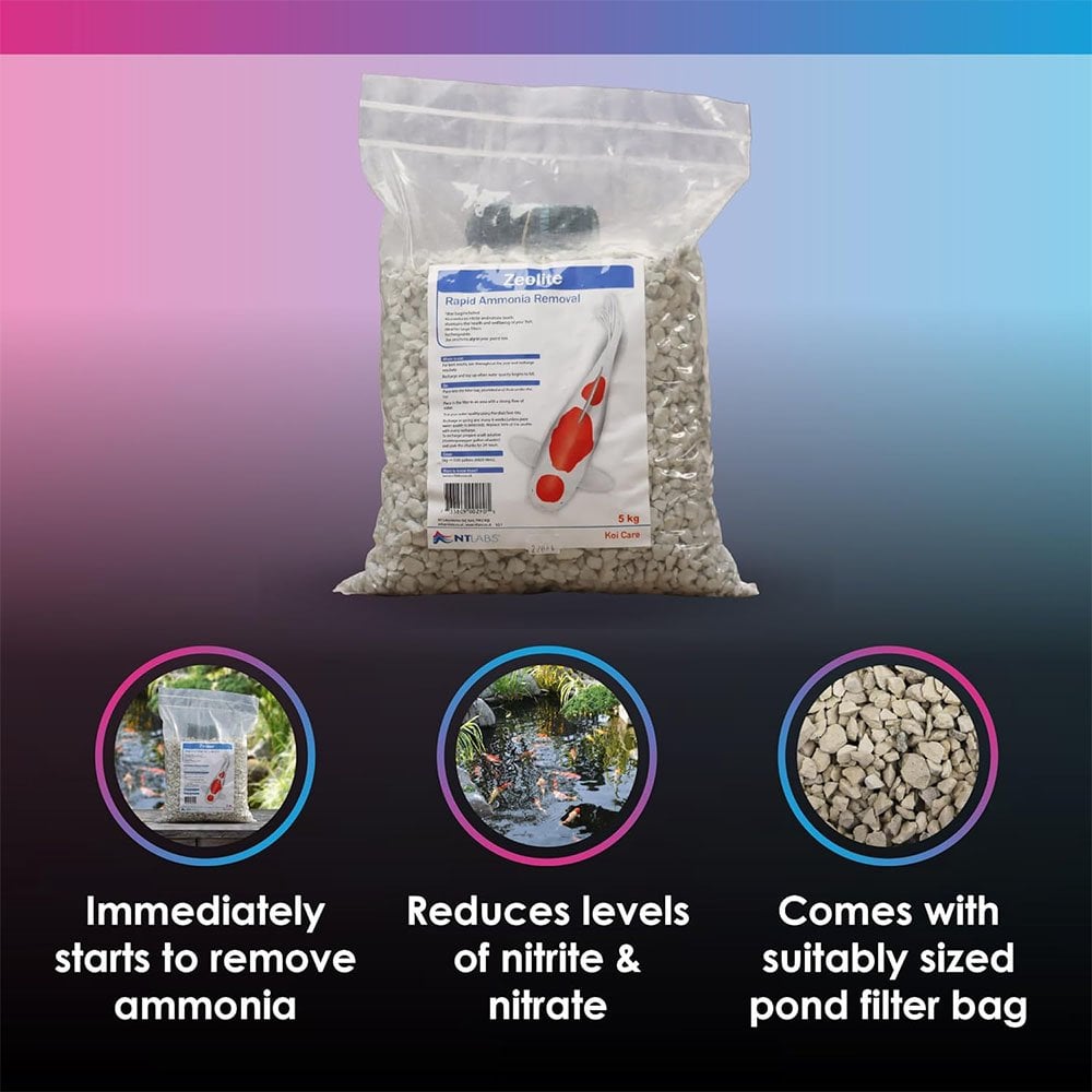NT Labs Zeolite 5Kg - Pond Planet