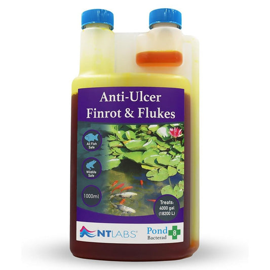 Bacterad - Anti-Ulcer Finrot & Flukes