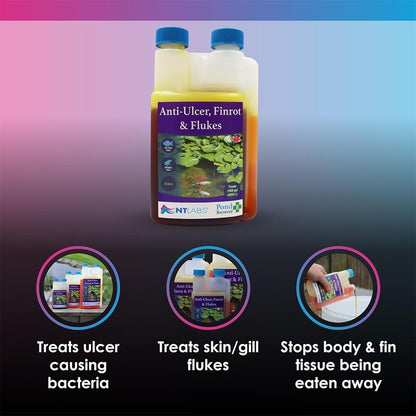Bacterad - Anti-Ulcer Finrot & Flukes