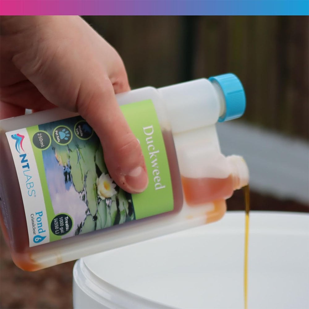Cristalclear - Duckweed Control