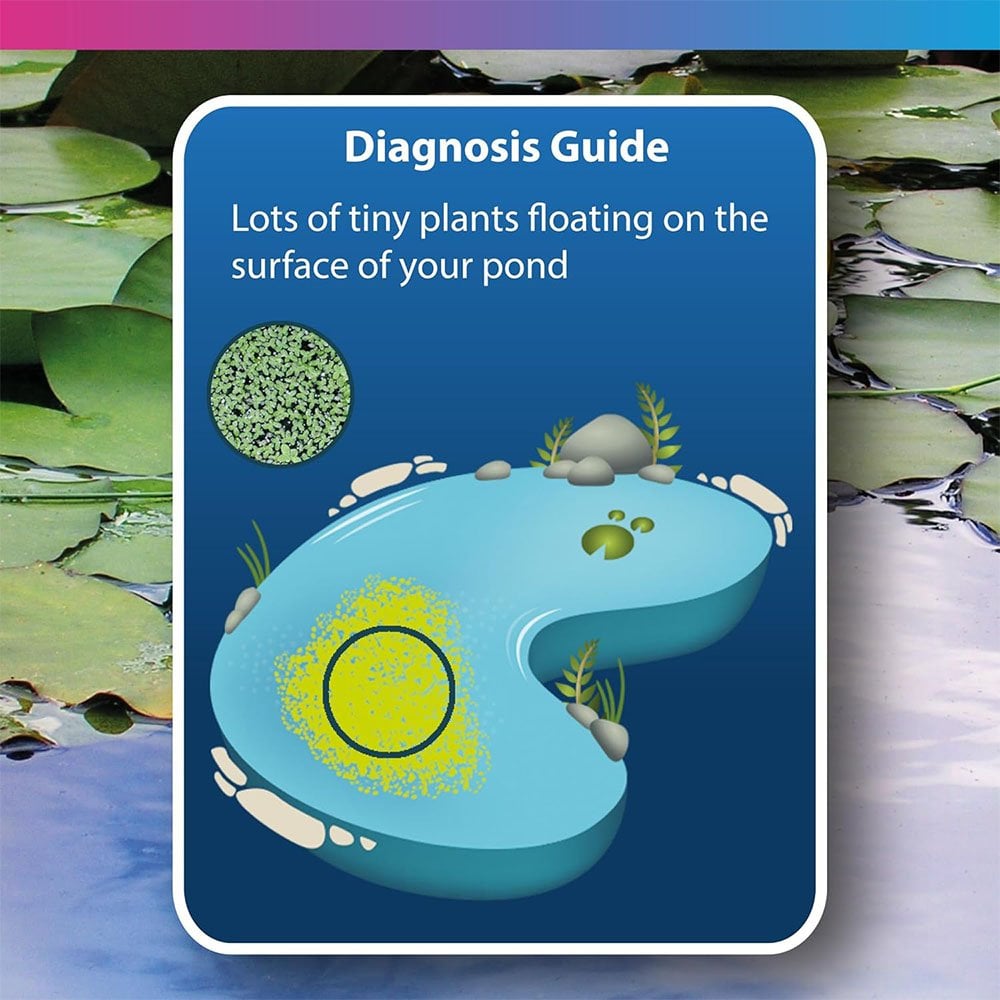 Cristalclear - Duckweed Control