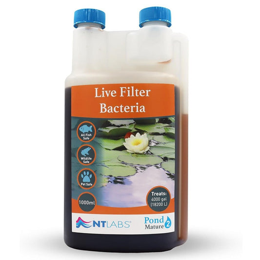 Mature - Live Filter Bacteria