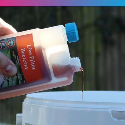 Mature - Live Filter Bacteria