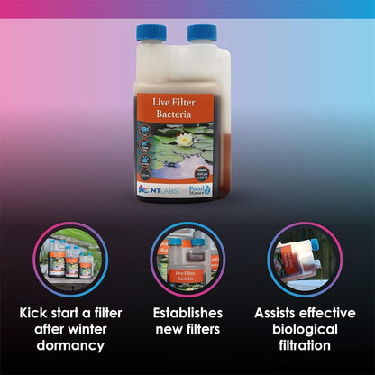 Mature - Live Filter Bacteria