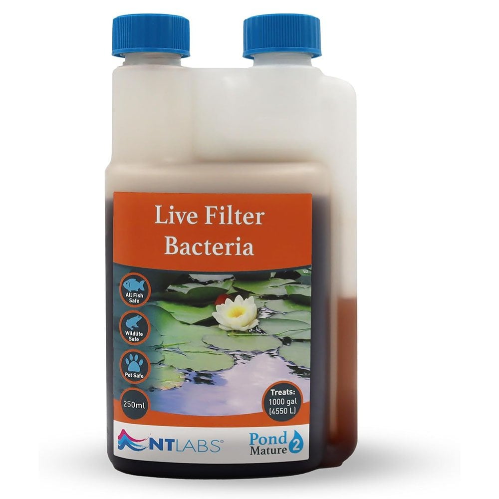 Mature - Live Filter Bacteria