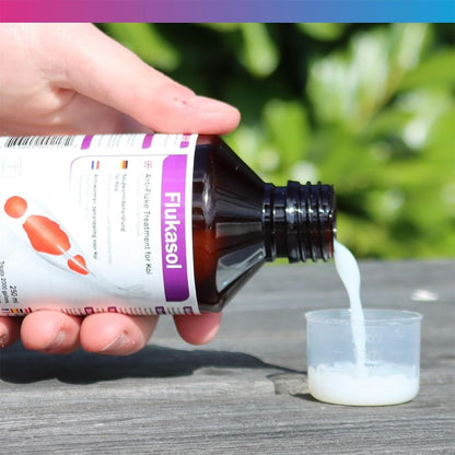 Koi Care Flukasol Suspension