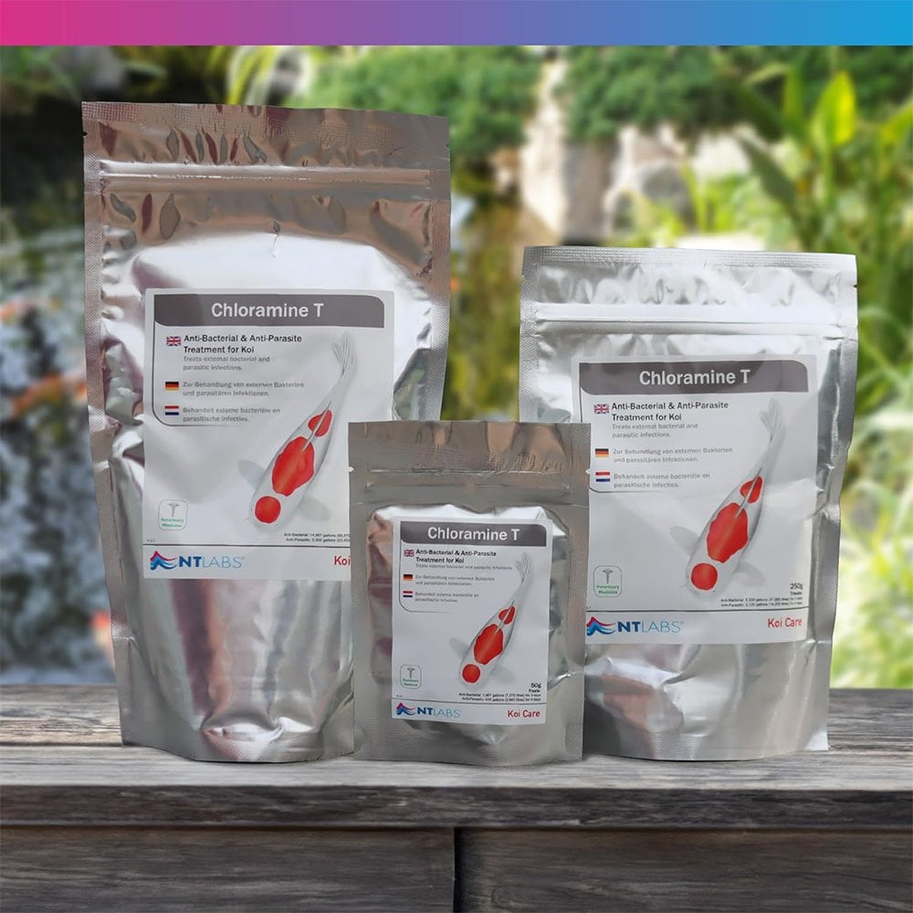 Koi Care Chloramine T