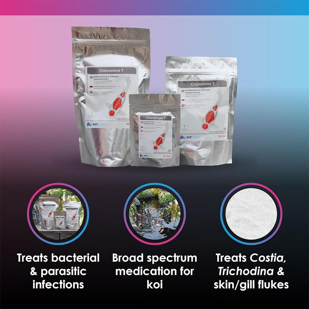 Koi Care Chloramine T