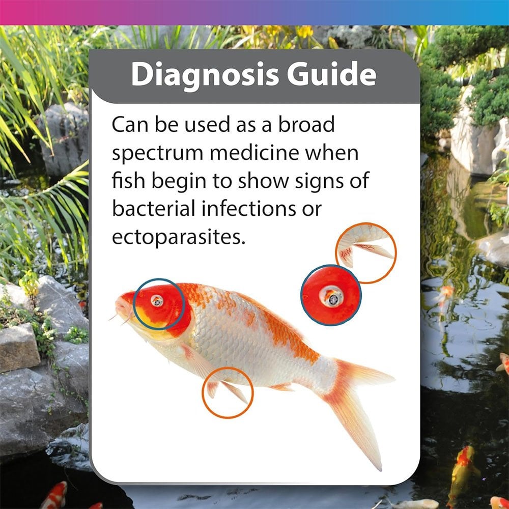 Koi Care Chloramine T