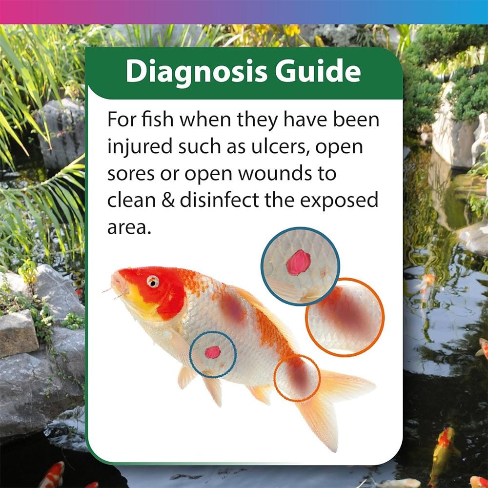 Koi Care Ulcer Swab