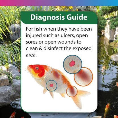 Koi Care Ulcer Swab