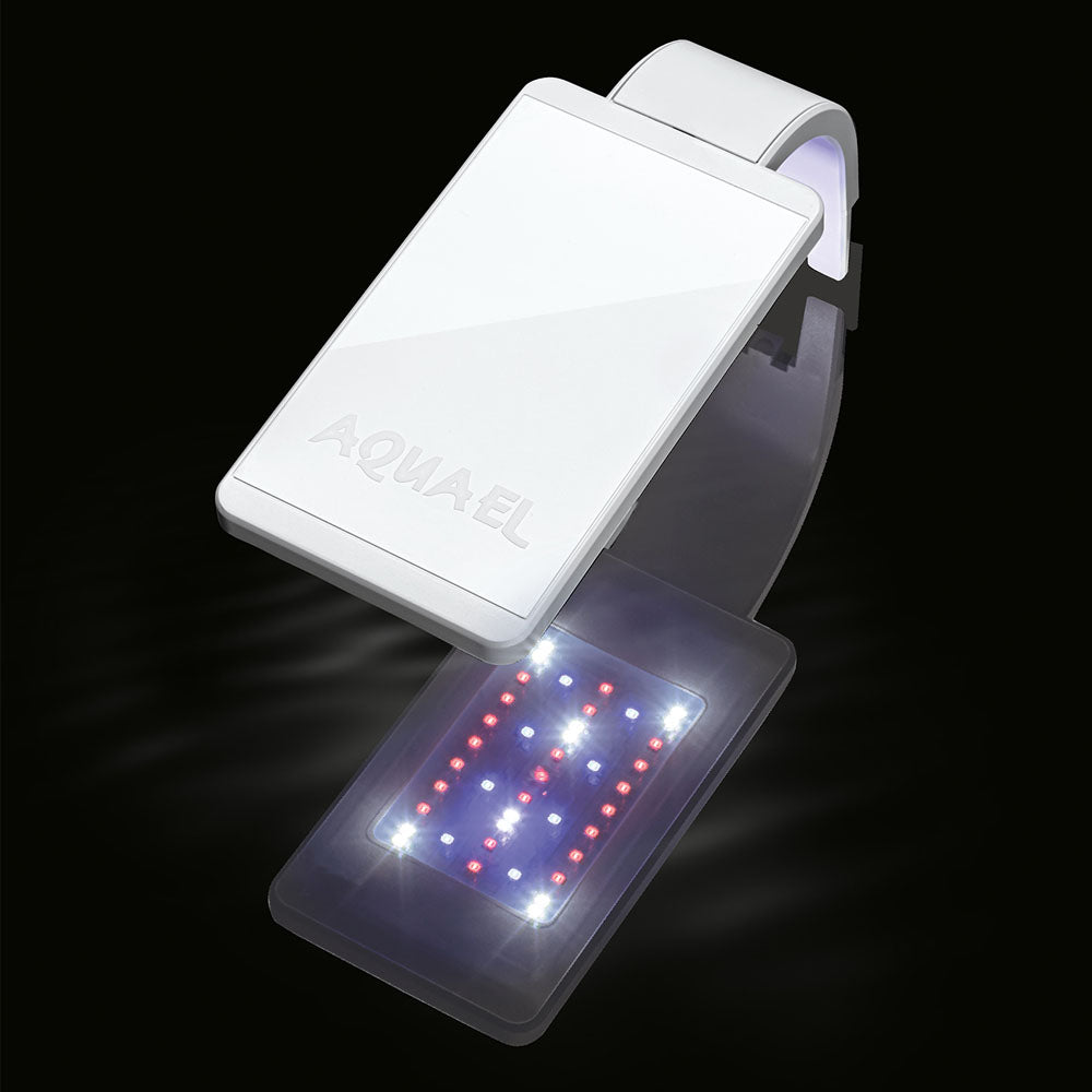 Leddy Smart Plant Day & Night LED 4.8w - White