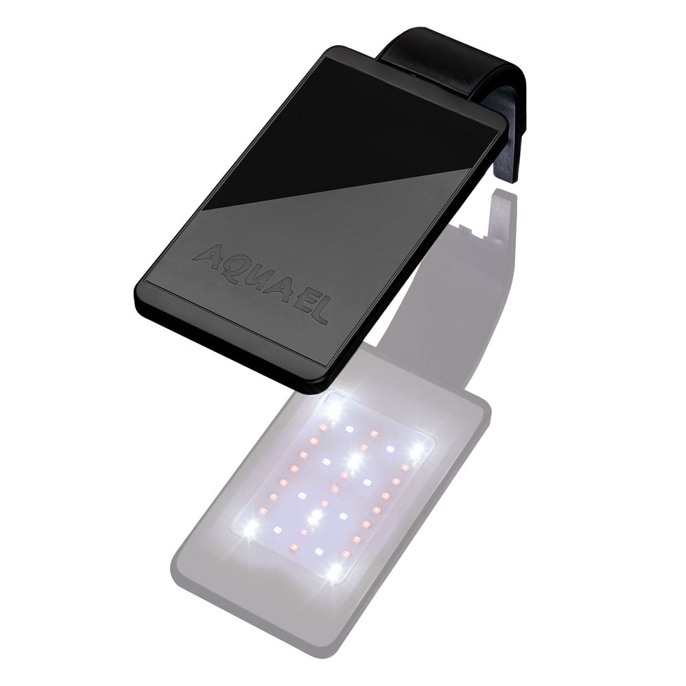 Leddy Smart Plant Day & Night LED 4.8w - Black