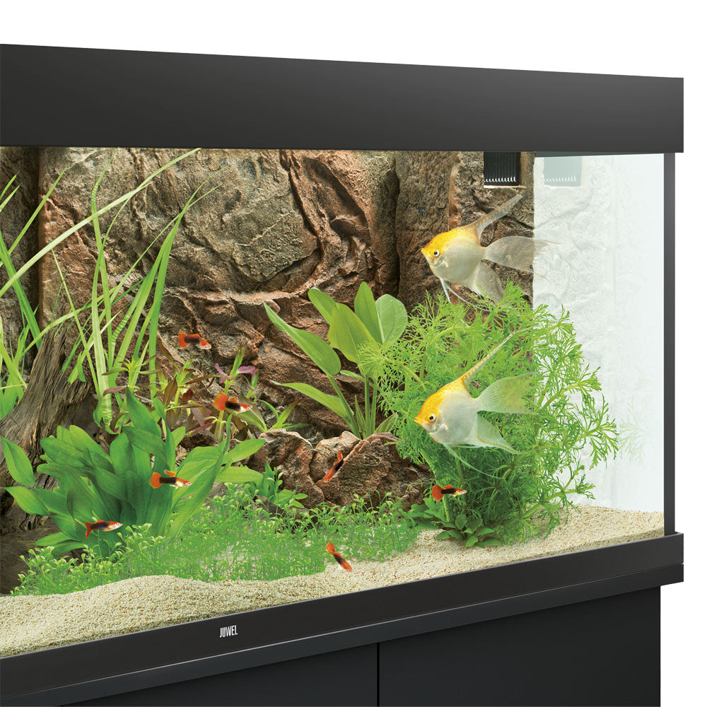 Juwel 3D Aquarium Background - Cliff Dark