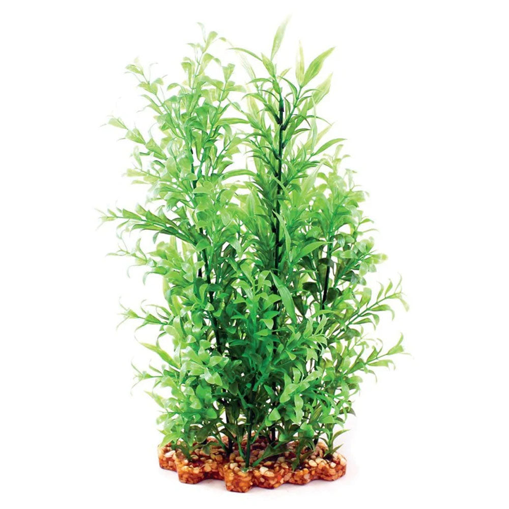 Vibrance Hygrophila/Ludwigia 40cm
