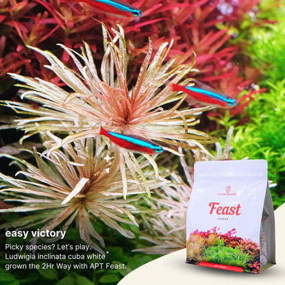 APT Feast - Planting Substrate