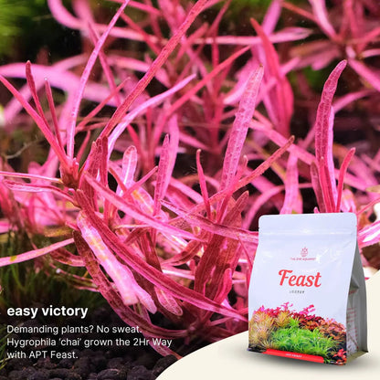 APT Feast - Planting Substrate