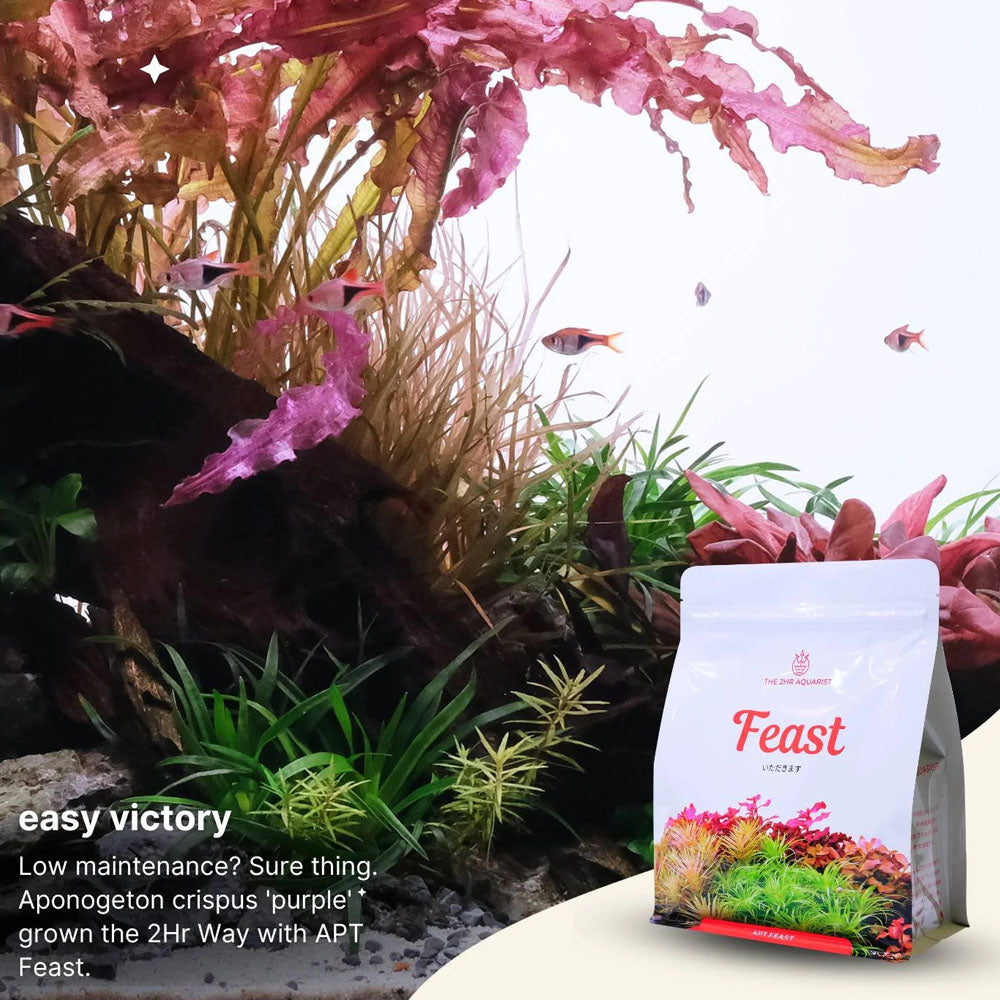 APT Feast - Planting Substrate