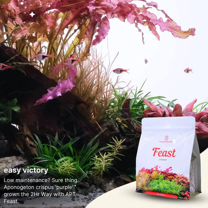 APT Feast - Planting Substrate