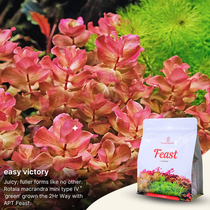 APT Feast - Planting Substrate