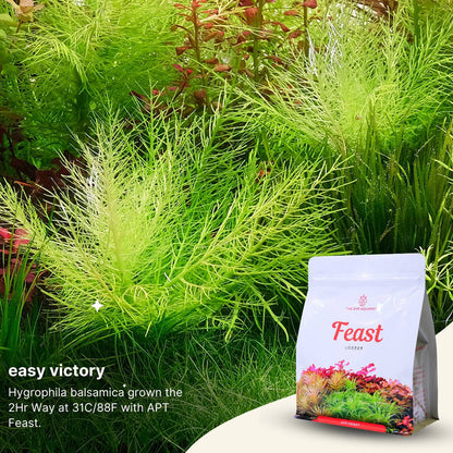 APT Feast - Planting Substrate