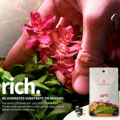 APT Jazz - Root Tabs