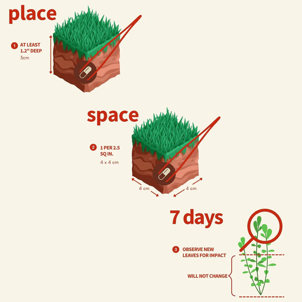 APT Jazz - Root Tabs