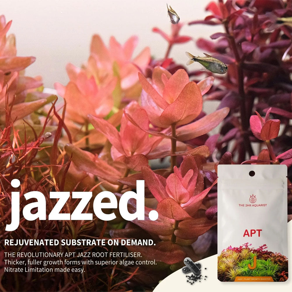 APT Jazz - Root Tabs