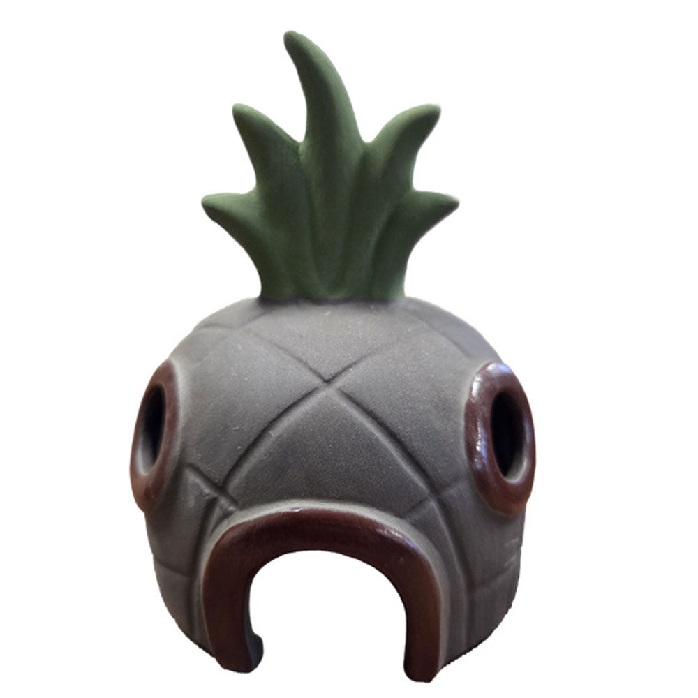 Ceramic Pineapple House