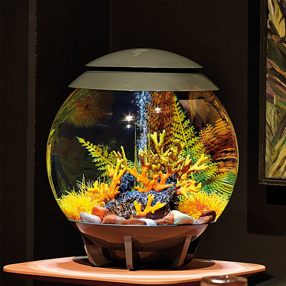 Feng Shui Marble Pebble Pack - Red