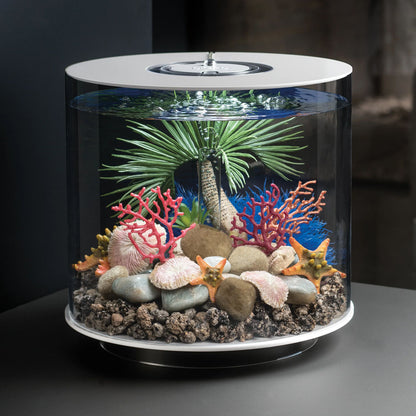 Feng Shui Marble Pebble Pack - Green