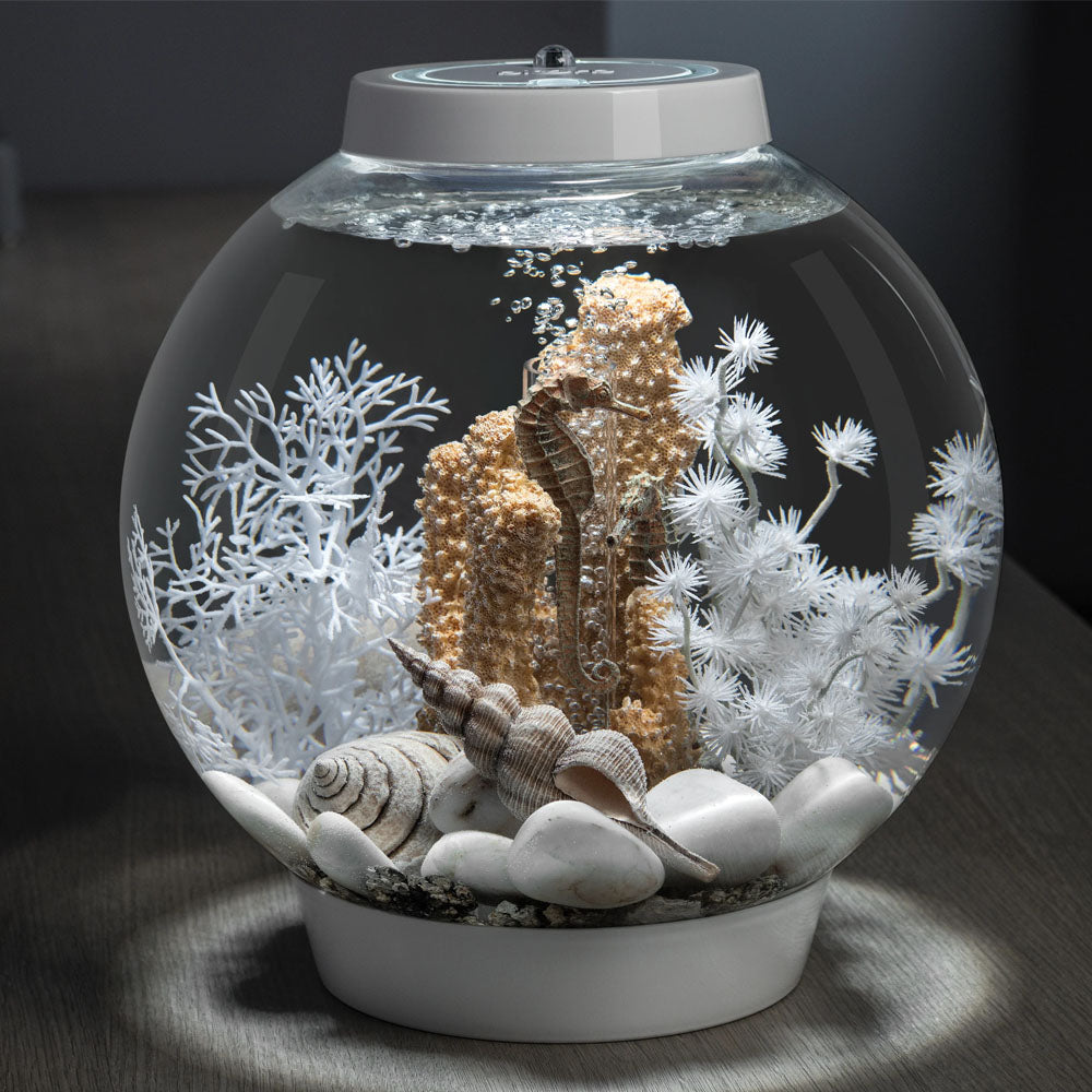 Feng Shui Marble Pebble Pack - White